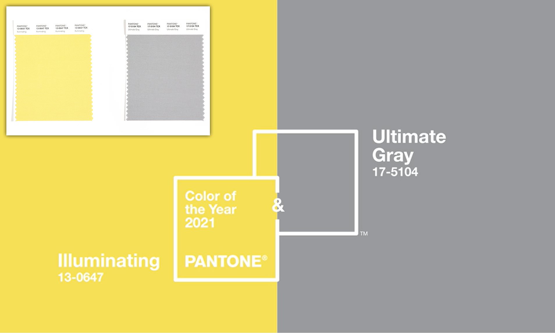 Pantone 406u в интерьере